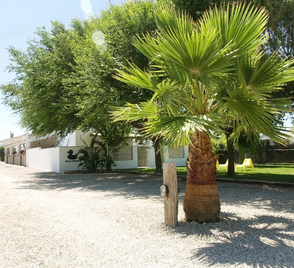 Lofts Bedandbeach El Palmar  El Palmar (Andalucia)